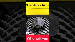 shredder vs turtle who will win facts shredder experiment hydraulictechnology makingmachine [upl. by Joab579]