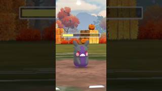 When I used Morpeko in battle with form change 😳 Pokemon go [upl. by Alyehc]