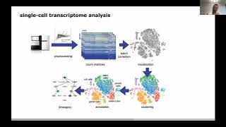 Keynote Speaker  Modeling cellular state and dynamics in single cell  Fabian Theis  ECCB 2020 [upl. by Anaxor]