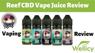 Reef CBD Vape Juice Review  Broad Spectrum CBD [upl. by Enirac]