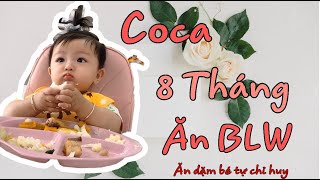 Coca 8 tháng ăn dặm bé tự chỉ huy BLW  cocababygirl [upl. by Clarice]