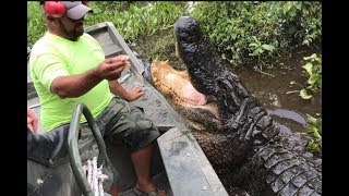 SUPER AWESOME AIRBOAT RIDE THROUGH THE SWAMPS OF LOUISIANA [upl. by Asilej]