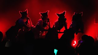 わーすた ライブ 「わーすた夏恋ツアー2024～ねえ 君を好きになってから 1519～」 20240804 YOKOHAMA Bay Hall [upl. by Amathist]