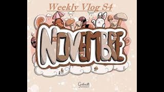 Vlog Novembre S4  WIP colo et DP  RDV psy  Calendrier Avent  Recette cookie [upl. by Vickey184]