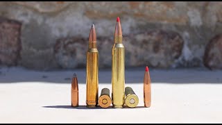 300 Remington Ultra Magnum 300 RUM Full Profile  300 Ultra Mag vs 300 Win Mag [upl. by Erlina]