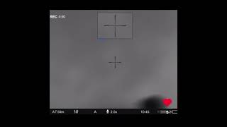 Oklahoma wild hog hunt 100 yard night vision shot hunting hog hunt wildboar wild rifle [upl. by Melac888]