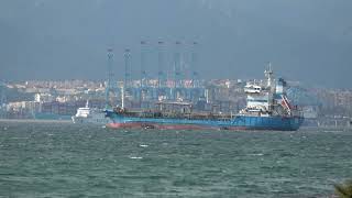 AFRICA MOROCCO LINK Ferries Entering and Exiting Algeciras Port 28 Nov 2023 [upl. by Ashbaugh]