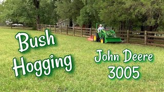 Bush Hogging Horse Pasture with John Deere 3005 [upl. by Ozzy626]