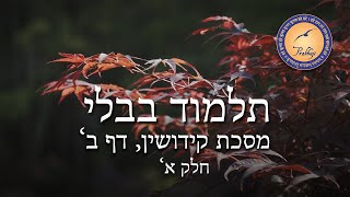 תלמוד בבלי קידושין דף ב׳ חלק א׳  פרבהוגי [upl. by Auqenat596]