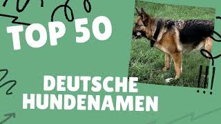 Deutsche Hundenamen  TOP 50 Liste [upl. by London]