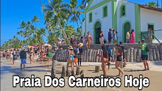 Praia Dos Carneiros Pernambuco 28 De Outubro De 2024 Dicas Importantes [upl. by Rosel]