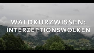 Interzeptions Wolken Waldkurzwissen [upl. by Caputto12]