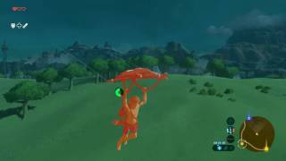 BotW High Speed Paragliding [upl. by Sitnalta477]