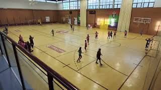 Balonmano Torredelcampo  Los Dólmenes Antequera [upl. by Elagiba]