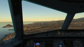 MSFS 2020  Landing At Tenerife South Airport  Airbus A320neo  TUI Airways 4K [upl. by Cornelle]