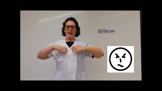 Initiation au Makaton  les émotions [upl. by Toffey]