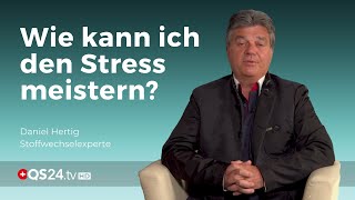 Wie kann ich den Stress meistern  Alternativmedizin  QS24 Gesundheitsfernsehen [upl. by Innoc]