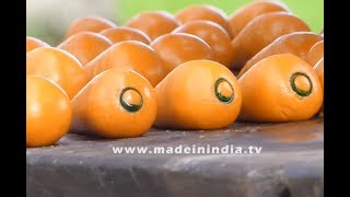 Carrot Shape Sweet Making  Indian Sweet Recipes [upl. by Gennifer]