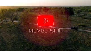 WildEarth YouTube Membership [upl. by Atiekal]