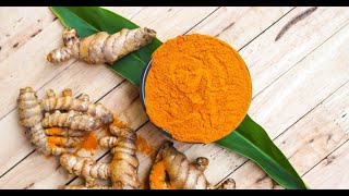 Response of Turmeric Curcuma longa L and Pigeon Pea Cajanus Cajan L [upl. by Erdnaet]