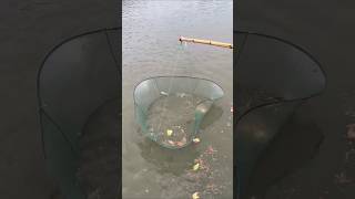 অসাধারণ মাছ ধরার কায়দা 🐟 Fishing Style  fishing ytshorts viralvideo talent AGGACHOKRO [upl. by Oirobil890]