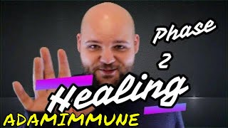 The Healing Phase of The AIP Paleo Diet The Autoimmune Protocol Phase 2 [upl. by Oile88]