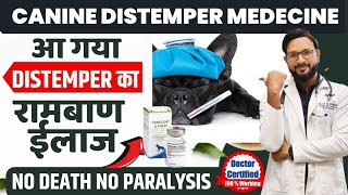 Canine Distemper Treatment In Dogs  Symptoms  Recovery Dog Distemper Treatment At Home [upl. by Isla]