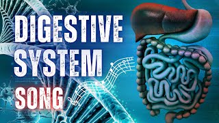 The Digestive System Song with Lyrics [upl. by Dworman]