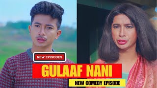 Gulaf गुलाफ Nani Comedy  AAjkal Ko Love  Jibesh Gurung  Kanchan  Feb2024  Colleges Nepal [upl. by Seely]