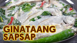 Easy Ginataang Sapsap  Butterfish Recipe  Ginataang Isda  Panlasang Pinoy [upl. by Oab]