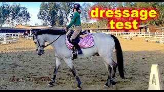 Beginner NOVICE DRESSAGE Test A  USEF Eventing learn more Video [upl. by Robina]