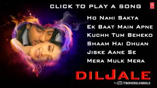 Diljale Movie Full Songs  Ajay Devgn Sonali Bendre  Jukebox [upl. by Nawor]