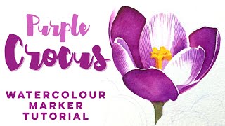 Purple Crocus painting  Winsor and Newton Watercolour marker tutorial [upl. by Ogeid]