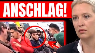 UNFASSBAR 💥 IHM RUTSCHT WAHRHEIT RAUS 💥 DIESES VIDEO ERREICHT GERADE 2 MILLIONEN KLICKS 💥 [upl. by Oconnor]