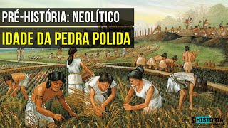 PRÃ‰HISTÃ“RIA NEOLÃTICO A IDADE DA PEDRA POLIDA COMO SURGIU A AGRICULTURA E DOMESTICAÃ‡ÃƒO DE ANIMAIS [upl. by Nanyt8]