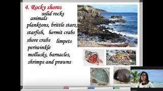 The Biotic Factors in Intertidal Zones and Estuarine Ecosystem [upl. by Aihsenad]