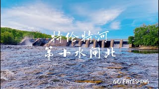 特伦特河第十水闸北🎣🎣🎣 安省钓鱼 [upl. by Amsirahc]