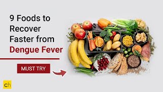 9 Foods to Recover Faster from Dengue Fever or to Increase Platelets  Credihealth [upl. by Tonie]