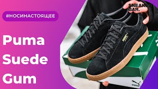 Puma Suede Gum Black 38117401 Onfeet Review  sneakersby [upl. by Annaierb]