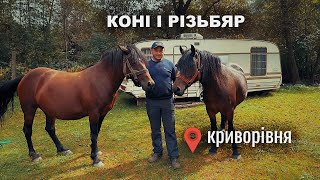 РІЗЬБЯР У МУЗИКАНТА В КРИВОРІВНІ horse коні гуцули [upl. by Nalak]