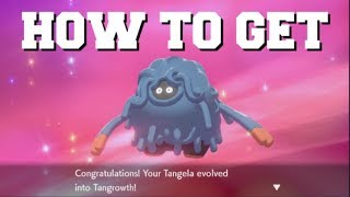 HOW TO EVOLVE TANGELA INTO TANGROWTH IN POKEMON SWORD AND SHIELD HOW TO GET TANGROWTH [upl. by Kary]