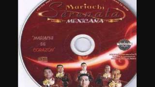 Mariachi Serenata Mexicana  Amor A Mares [upl. by Aivirt33]