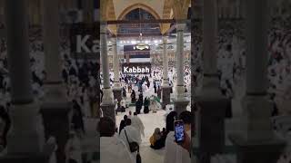 labbaik love madina beautiful hajj2024 travel hajjumra live madinasharif makkahmadinah [upl. by Ghassan]