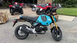 2024 Honda Grom for sale in Emmaus PA [upl. by Auka318]