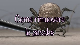 Come rimuovere le zecche [upl. by Anilag]