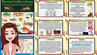 Distinguishing Characteristics of Invertebrates [upl. by Lenoel]