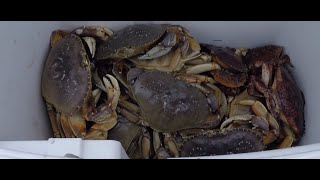 Westport Washington State  Crabbing amp Camping [upl. by Gnol]