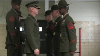 Battalion Commander Inspection [upl. by Rehptosirhc]