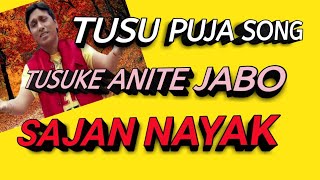 TUSU KE ANITE JABO TUSU SONG টুচু গীত by Sajan Nayak [upl. by Adniles119]