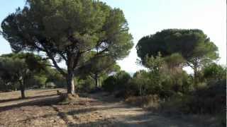 IL RANCH ARCORE TREKKING IN ALTA MAREMMA [upl. by Akilam414]